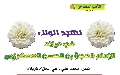 الأدب المهدوي / نشيد الولاء