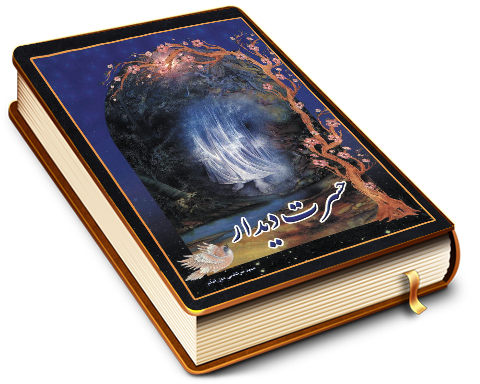 حسرت دیدار (مجموعه شعر)