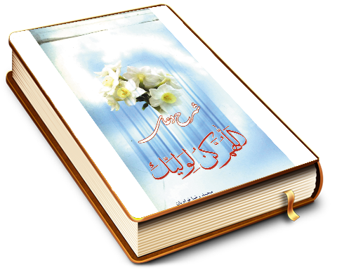 شرح دعای (اللهم کن لولیک...)