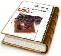 وظایف ما در عصر غیبت