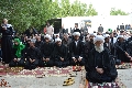 (١٢٢) آية الله الشيخ الواعظي يؤم المصلين في طريق يا حسين