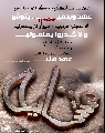 (١٥٥)