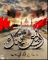 (١٦١)