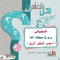 هل تعلم أن- ٢٩٦