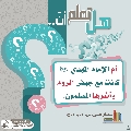 هل تعلم أن- ٣٠٠