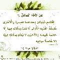 الأحاديث المهدوية- ٤٦