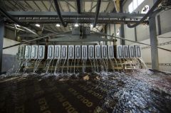 أكثر من (٣٠٠٠) قالب ثلج يوميّاً للمواكب الحسينيّة والزائرين